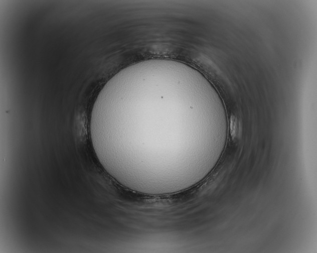 X0000089691107200707121331