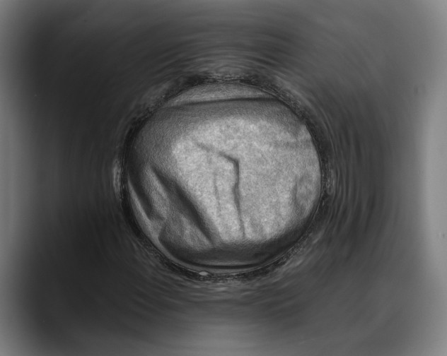 X0000089691108200707121331