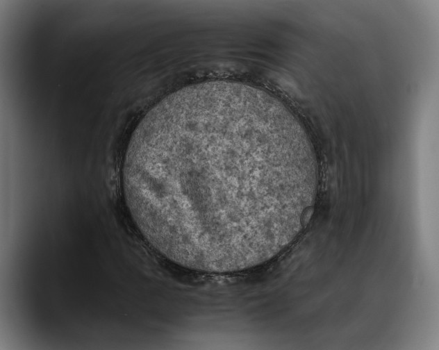 X0000089691109200707121331