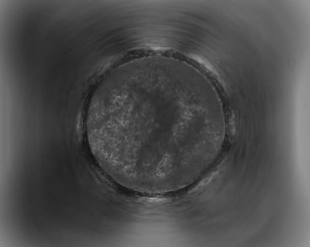 X0000089691110200707121331