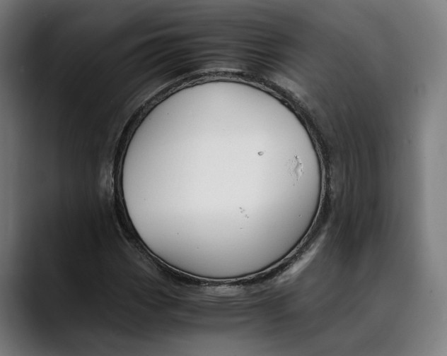 X0000089691113200707121331