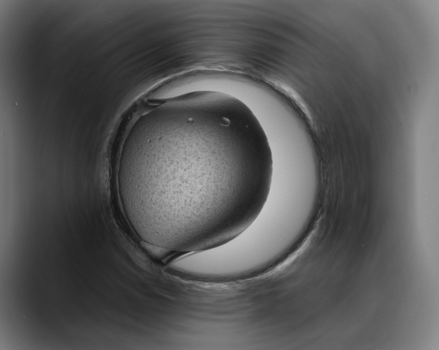 X0000089691114200707121331