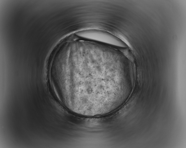 X0000089691116200707121331