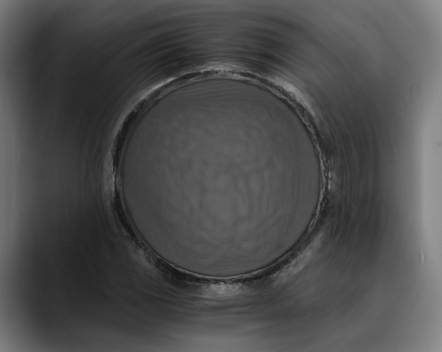 X0000089691117200707121331