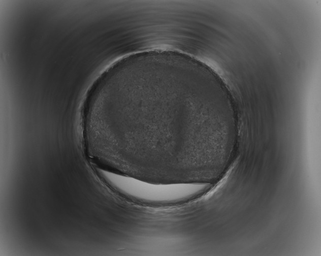 X0000089691118200707121331