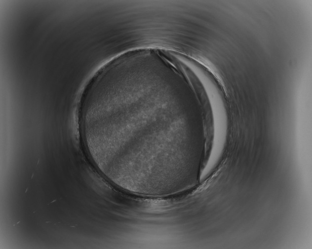 X0000089691120200707121331