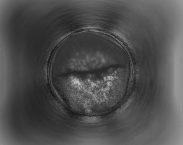 X0000089691121200707121331