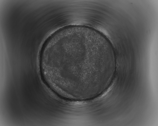 X0000089691122200707121331