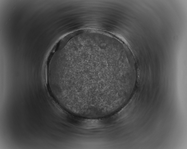 X0000089691123200707121331