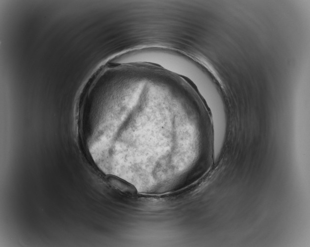 X0000089691124200707121331