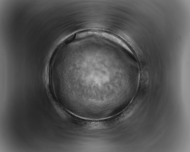 X0000089691128200707121331