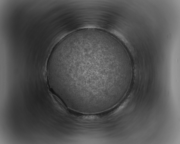 X0000089691129200707121331