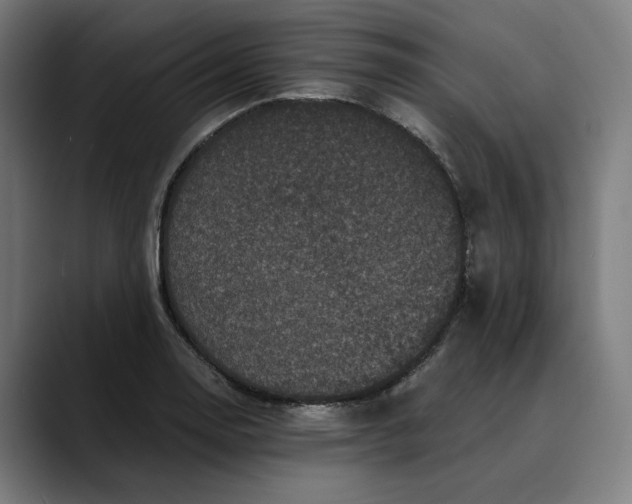 X0000089691130200707121331