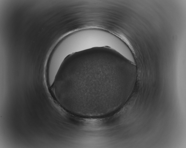 X0000089691132200707121331