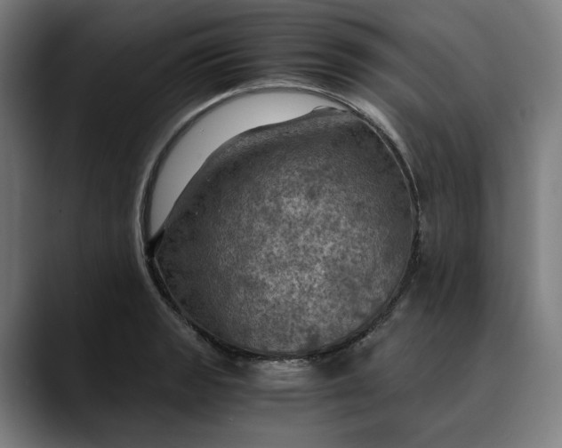 X0000089691133200707121331