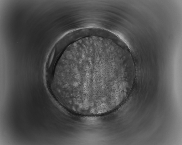 X0000089691134200707121331