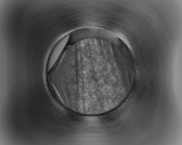 X0000089691136200707121331