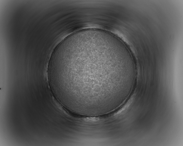 X0000089691137200707121331