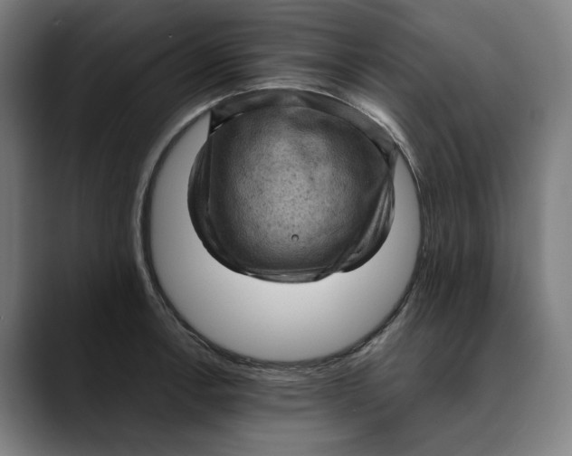 X0000089691138200707121331