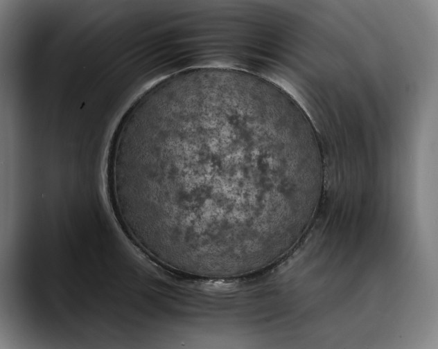 X0000089691139200707121331