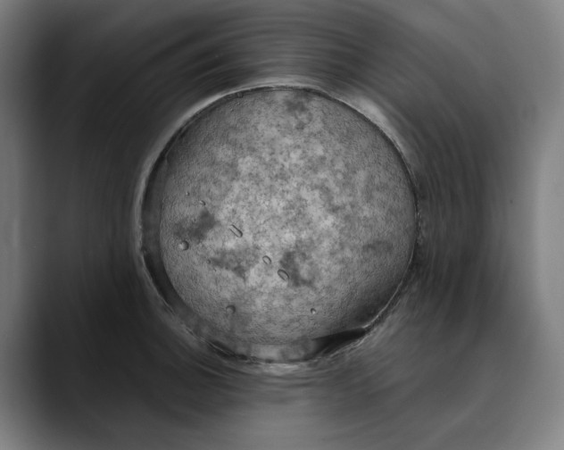 X0000089691140200707121331