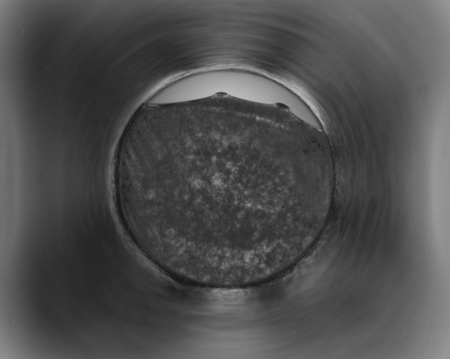 X0000089691142200707121331