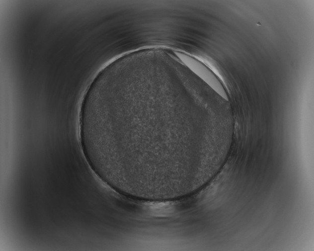 X0000089691143200707121331