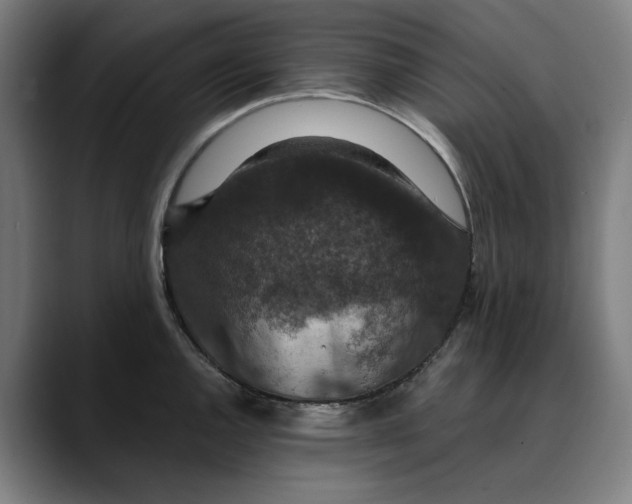 X0000089691144200707121331