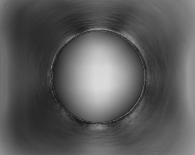 X0000089691145200707121331