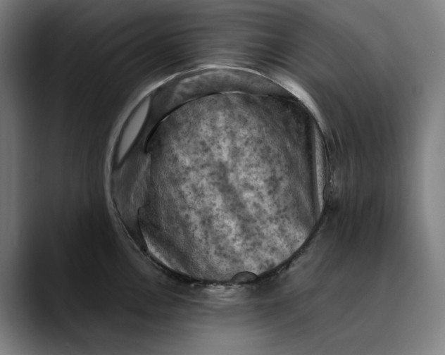 X0000089691146200707121331