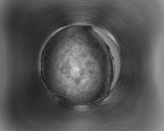 X0000089691148200707121331