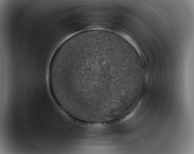 X0000089691149200707121331