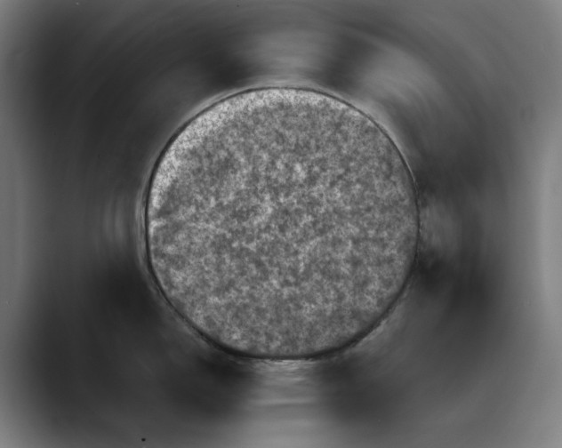 X0000089691150200707121331