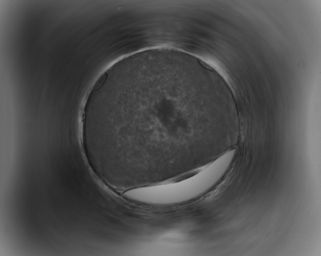 X0000089691151200707121331