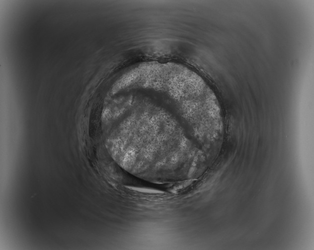 X0000089691153200707121331