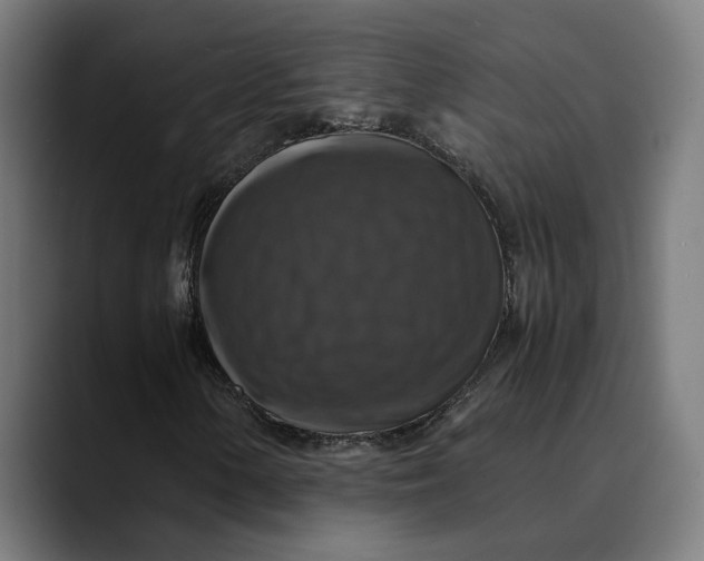 X0000089691154200707121331