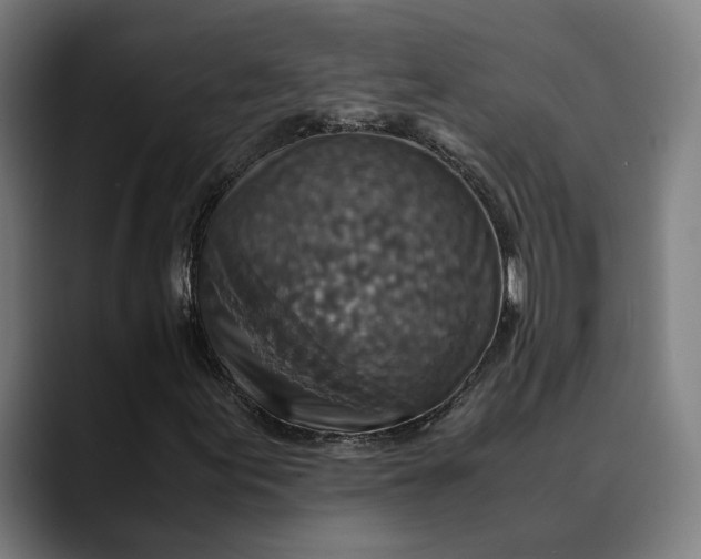 X0000089691155200707121331