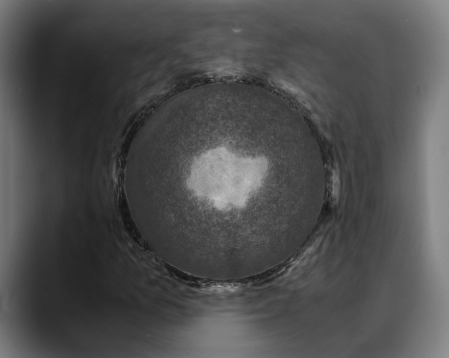 X0000089691157200707121331