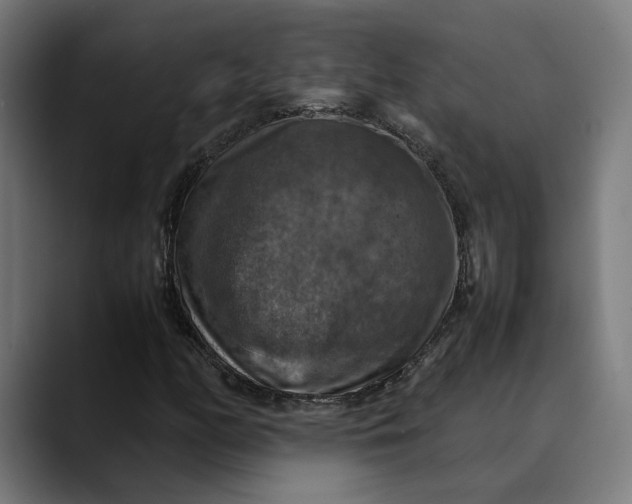 X0000089691158200707121331