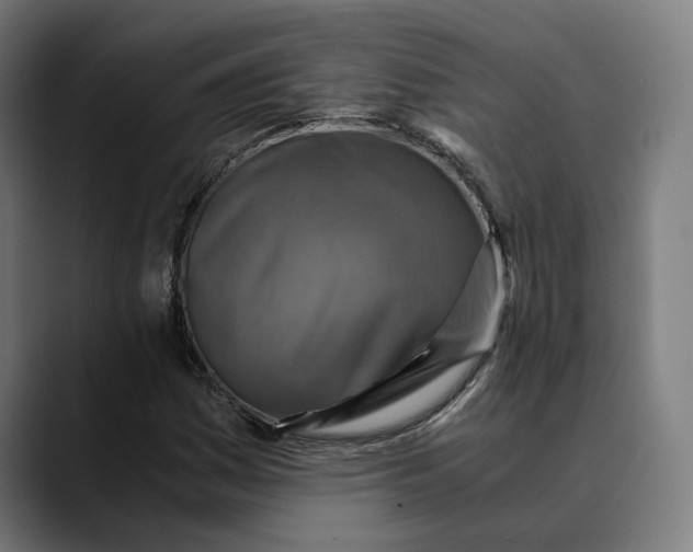 X0000089691161200707121331