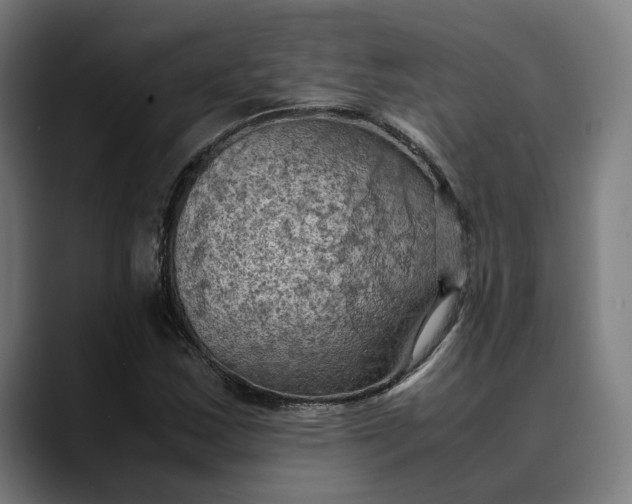 X0000089691163200707121331