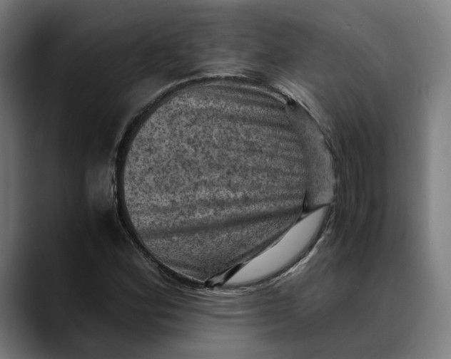 X0000089691164200707121331