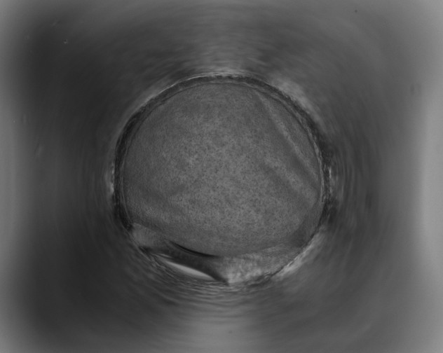 X0000089691165200707121331