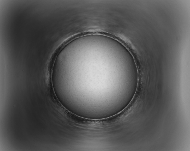 X0000089691167200707121331