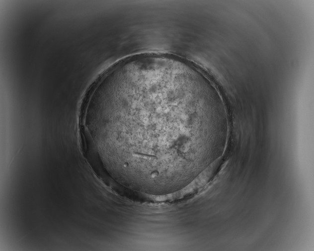 X0000089691168200707121331