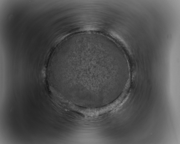 X0000089691169200707121331