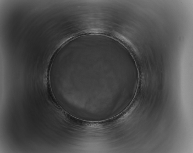 X0000089691170200707121331