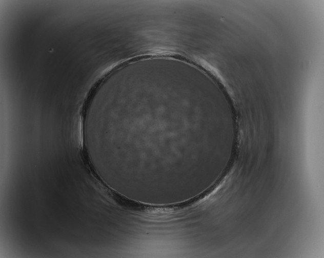 X0000089691171200707121331