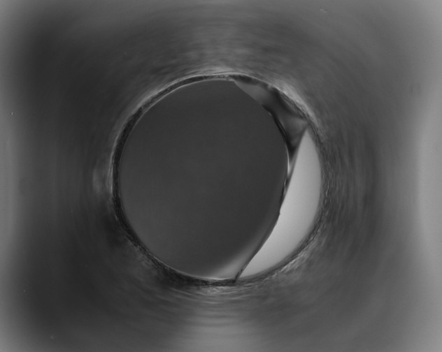 X0000089691173200707121331