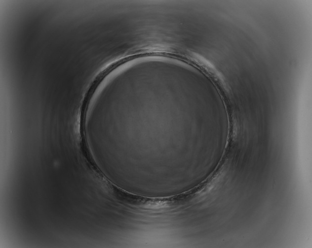 X0000089691174200707121331